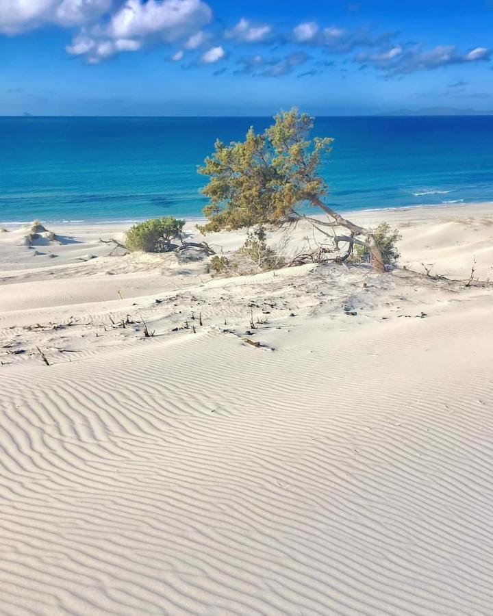 Vacanze Il Sogno *